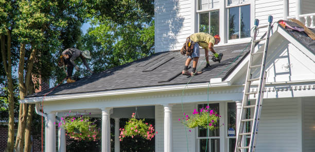 Professional Roofing Contractor in Cadott, WI